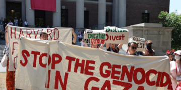 Harvard Blamed Jewish Victim Assaulted At Campus Protest, House Committee Alleges