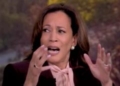 Kamala Harris Says Her Grief From Losing To Trump Compared To The Day Her Mother Died