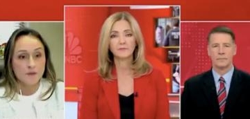 MSNBC Panelist Blames Trump Admin’s So-Called Attempt To ‘Dehumanize’ Illegal Immigrants For Shooting At ICE Facility