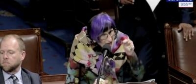 Purple Haired Dem Spends Over A Minute Shrieking At Republicans Over Healthcare