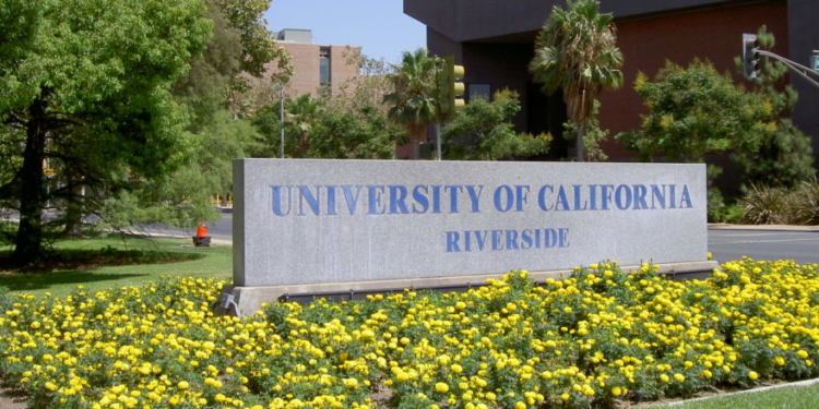 University System Begs State For $5 Billion After Getting Cut Off By Trump