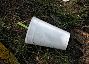 DNA From Discarded Straw Leads to Arrest in 1984 Long Island Murder