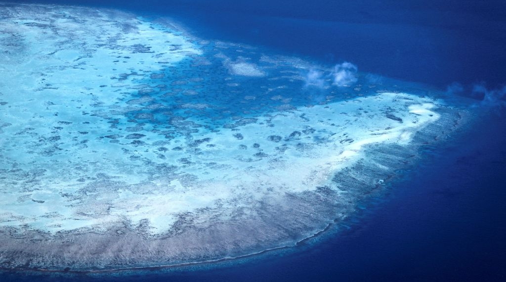 Elderly Cruise Passenger Found Dead After Being Left Behind on Great Barrier Reef Island