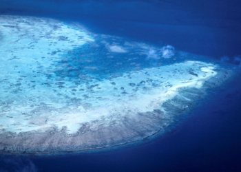 Elderly Cruise Passenger Found Dead After Being Left Behind on Great Barrier Reef Island