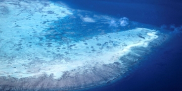 Elderly Cruise Passenger Found Dead After Being Left Behind on Great Barrier Reef Island