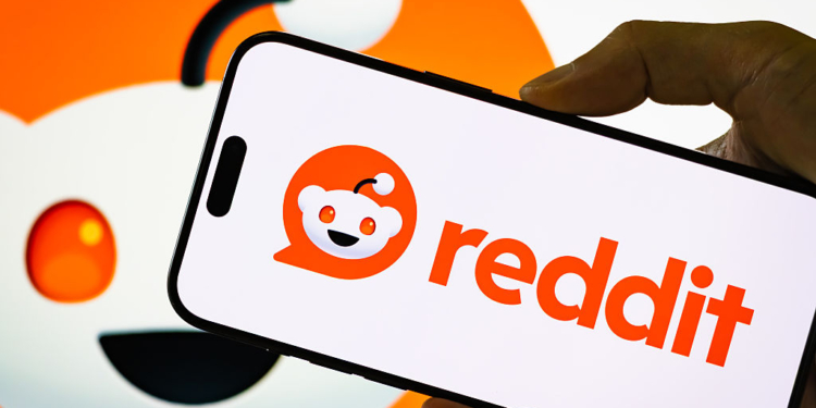 Democratic Chair Says Maine Senate Candidate’s Past Online Comments Were “Offensive” but Not Disqualifying