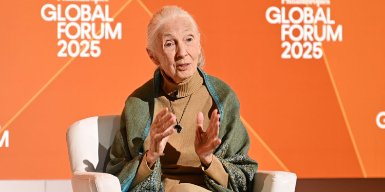 Conservationist Jane Goodall Dies at 91