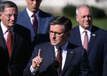 Johnson: Dems Will Impeach Trump if They Win Majority 