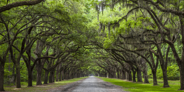 Georgia Parents Denied Bail After Police Find Body of Missing Infant Buried Behind Apartment Complex