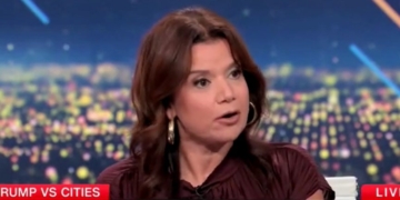Ana Navarro Freaks Out When CNN Panelist Points Out Criminal Illegal Immigrants