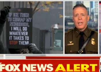 Border Patrol Commander Pushes Back On Obama Judge, Vows To Show Her Videos Of ‘Extreme Violence’ Against ICE