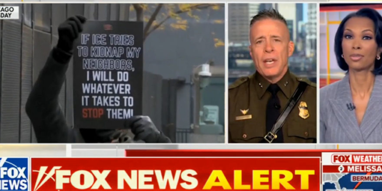 Border Patrol Commander Pushes Back On Obama Judge, Vows To Show Her Videos Of ‘Extreme Violence’ Against ICE