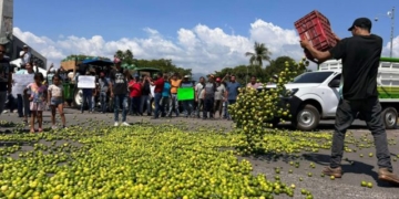 Cartel Protegido por Gobierno Extorsiona y Asesina a Citrícolas en Michoacán