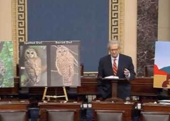 ‘DEI For Owls’: John Kennedy, Flanked By Elmer Fudd Pic, Repeatedly Asks ‘Who Appointed’ Bureaucrats God