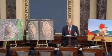 ‘DEI For Owls’: John Kennedy, Flanked By Elmer Fudd Pic, Repeatedly Asks ‘Who Appointed’ Bureaucrats God