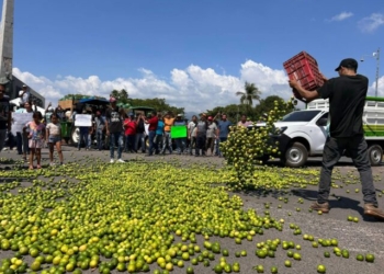 Government Protected Terrorist Cartel Extorts, Kills Produce Growers in Michoacan
