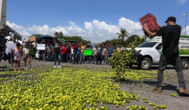 Government Protected Terrorist Cartel Extorts, Kills Produce Growers in Michoacan