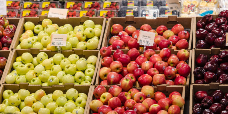 JULIE GUNLOCK: Americans Want Transparency In Grocery Stores – Republicans In Congress Must Lead The Fight