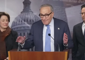 MEHEK COOKE: Democrats’ Shutdown Misplay Gives Trump Rare Opportunity