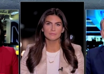 Scott Jennings Explains Why ‘No Kings’ Protesters In ‘Crazy Cat Costumes’ Completely Wasted Their Weekend