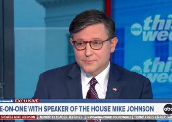 Speaker Johnson Has Strong Retort To Anti-Trump Protests