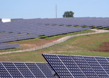 Trump Admin Shakes Up Biggest Solar Boondoggle In North America