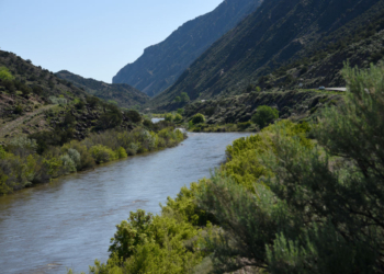 Rio Grande Faces Crisis: Half its Water Use is Unsustainable, Threatening Millions