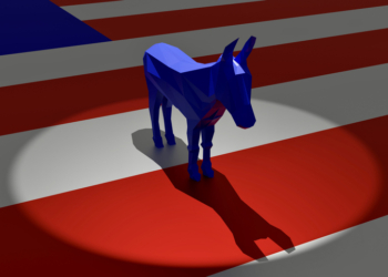 Yikes: 3 Word Answer in Poll for Who Leader of Dem Party Is