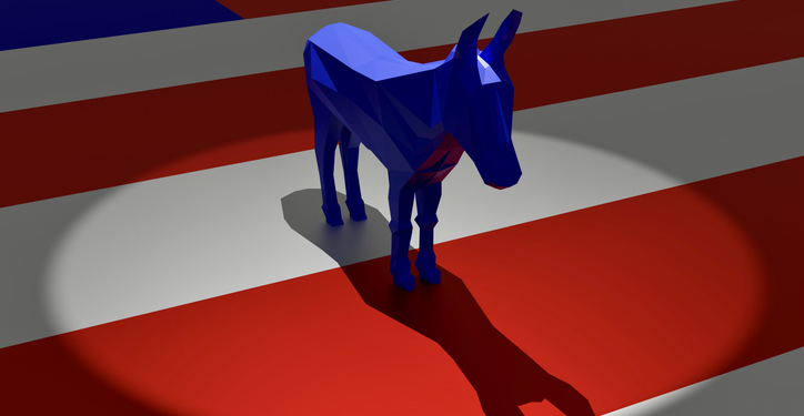 Yikes: 3 Word Answer in Poll for Who Leader of Dem Party Is