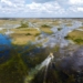 Florida Gov. DeSantis Breaks Ground on Massive Everglades Restoration Pump Station