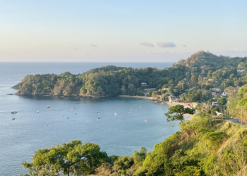 American Tourist Found Stabbed to Death in Tobago; Local Authorities Detain Suspect