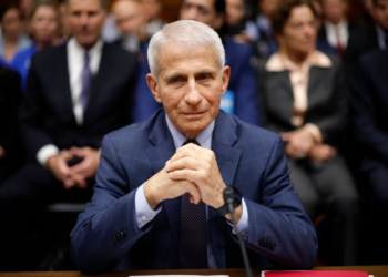 Play Revisits Tense 1993 Exchange Between Larry Kramer and Anthony Fauci