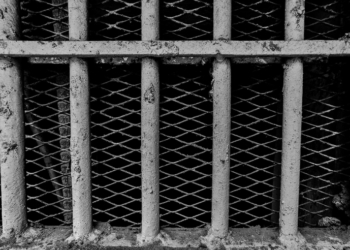 Trump Clemency Recipient Jonathan Braun Returned to Prison for New Crimes