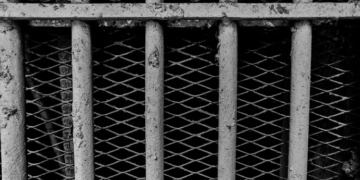 Trump Clemency Recipient Jonathan Braun Returned to Prison for New Crimes