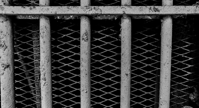 Trump Clemency Recipient Jonathan Braun Returned to Prison for New Crimes