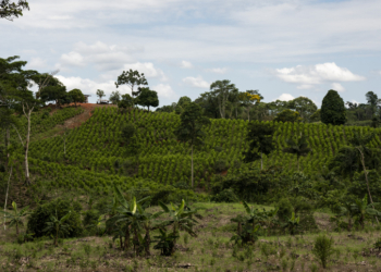 Colombian Navy Seizes 450 Pounds of Cocaine from Europe-Bound Ship