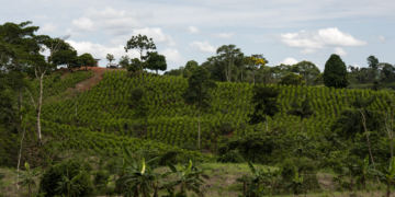 Colombian Navy Seizes 450 Pounds of Cocaine from Europe-Bound Ship
