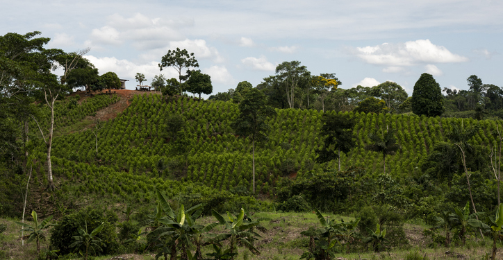 Colombian Navy Seizes 450 Pounds of Cocaine from Europe-Bound Ship