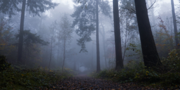 Wisconsin Woman Who Attacked Classmate for Slender Man Vanishes from Group Home