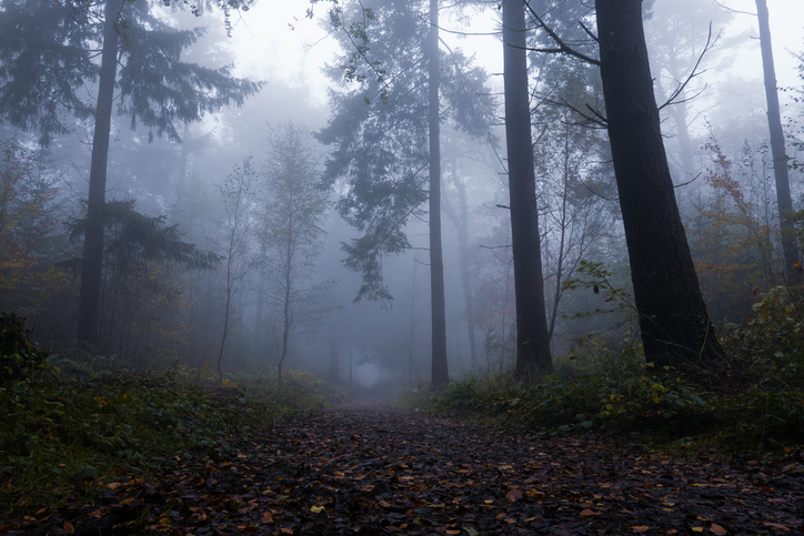 Wisconsin Woman Who Attacked Classmate for Slender Man Vanishes from Group Home
