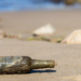 Messages in a Bottle from WWI Soldiers Found on Australian Beach After More Than a Century