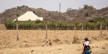 Predawn Raid on Nigerian School Leaves 25 Girls Abducted, Staffer Dead