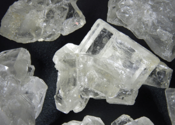 Thai Rangers Bust Wildlife Smugglers, Seize Meth Alongside 81 Macaques