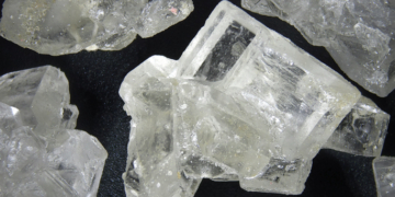 Thai Rangers Bust Wildlife Smugglers, Seize Meth Alongside 81 Macaques