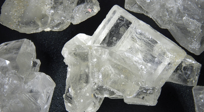 Thai Rangers Bust Wildlife Smugglers, Seize Meth Alongside 81 Macaques