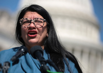 Michigan Senate Hopeful Backed by Tlaib Scrubs ‘Defund the Police’ Posts