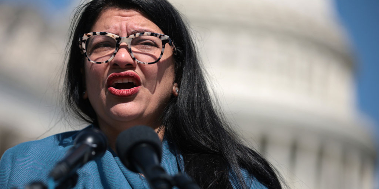 Michigan Senate Hopeful Backed by Tlaib Scrubs ‘Defund the Police’ Posts