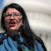 Michigan Senate Hopeful Backed by Tlaib Scrubs ‘Defund the Police’ Posts