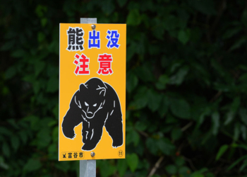 Japan Deploys Troops to Battle Deadly Surge in Bear Attacks