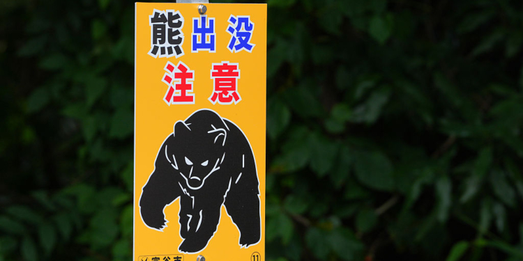 Japan Deploys Troops to Battle Deadly Surge in Bear Attacks